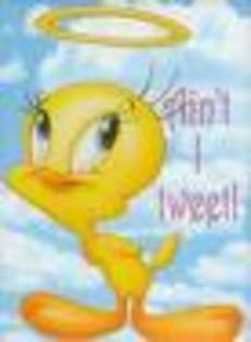 tweety 1 (5)