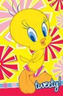 tweety 1 (11)