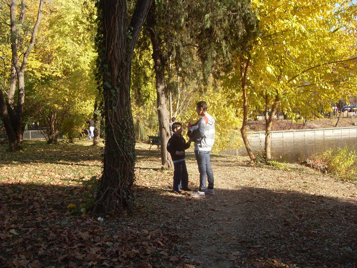 SDC16831 - parcul herastrau noiembrie 2010