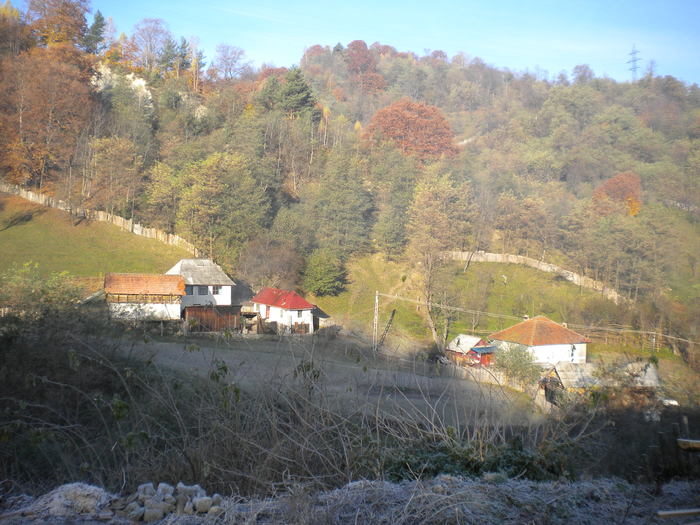 NARATU 30.10.2010 (1) - MUNTELE NARATU- VALCEA 30-10-2010