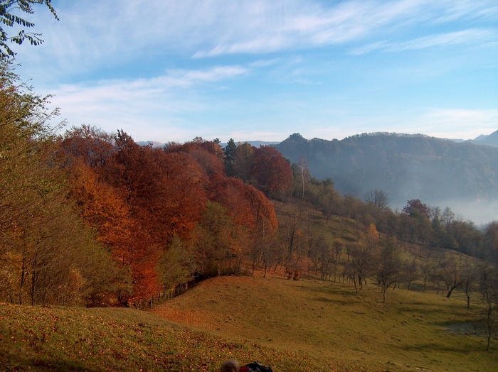 HPIM8646 - MUNTELE NARATU- VALCEA 30-10-2010