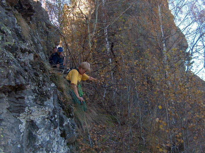 HPIM8805 - MUNTELE NARATU- VALCEA 30-10-2010