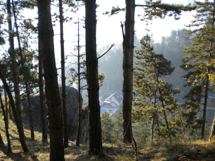 GROTA ZMEILOR 24.10.2010 167