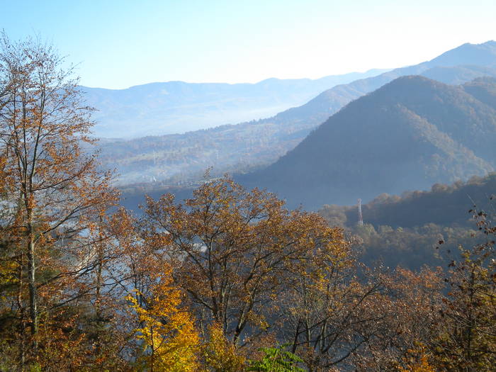 GROTA ZMEILOR 24.10.2010 175