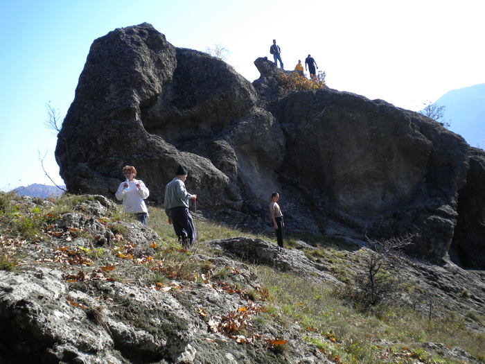 GROTA ZMEILOR 24.10.2010 247 - GROTA ZMEILOR  24-10-2010