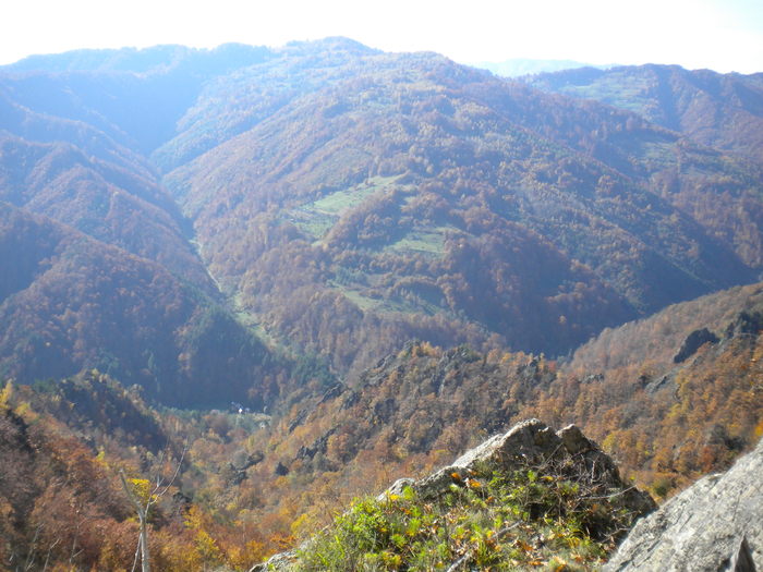 GROTA ZMEILOR 24.10.2010 316