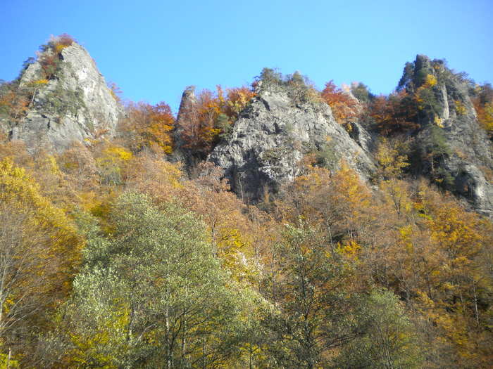 GROTA ZMEILOR 24.10.2010 350