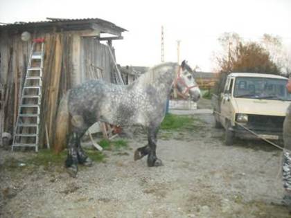 42881_new%20047[1]