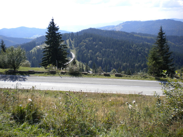 BUCOVINA 15.09.2010 (54) - BUCOVINA -MANASTIRI 15-09-2010