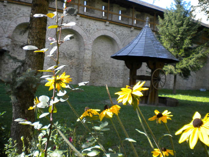 BUCOVINA 15.09.2010 (158)