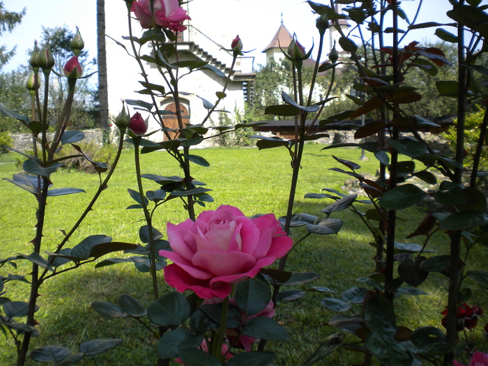 BUCOVINA 15.09.2010 (220)