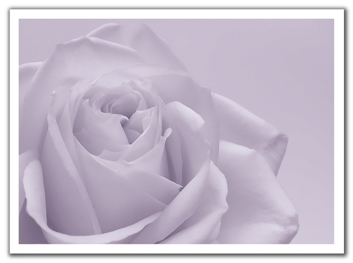 0509052027391dscf0319cweb