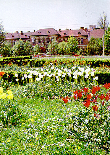 Pitesti - orasul lalelelor