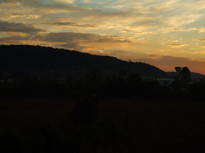 DSCF5420 - Instantanee-diverse