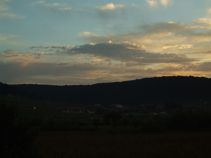 DSCF5424 - Instantanee-diverse