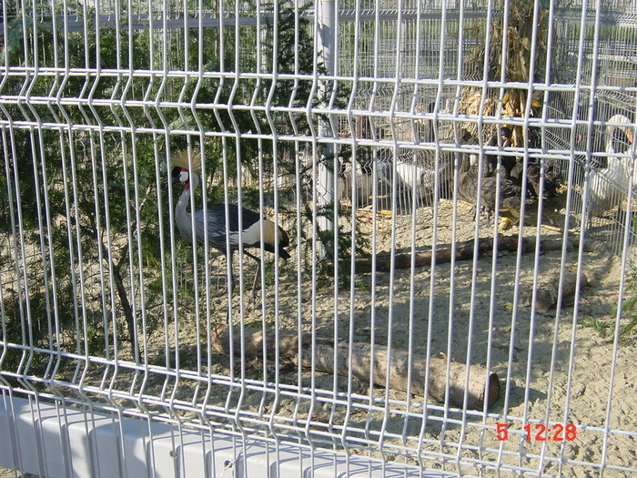 DSC01519