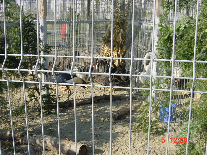 DSC01520