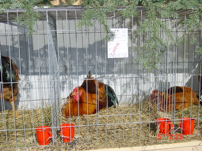 DSC01522