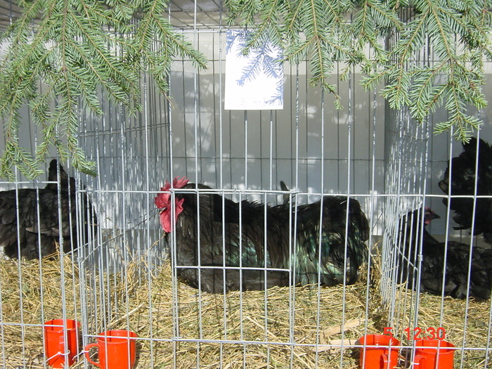 DSC01526