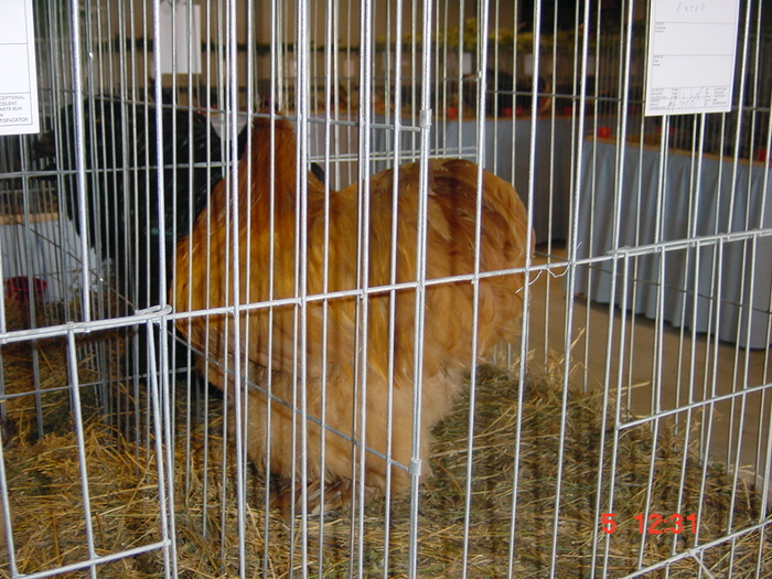 DSC01530