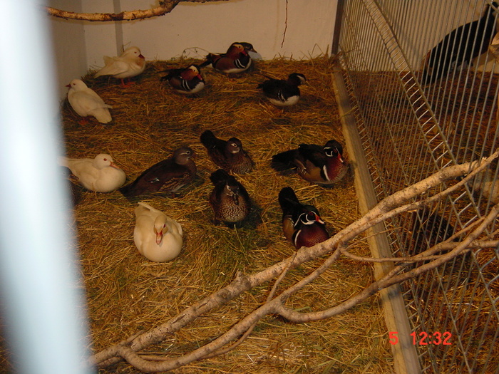 DSC01535