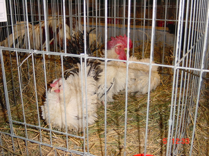 DSC01540