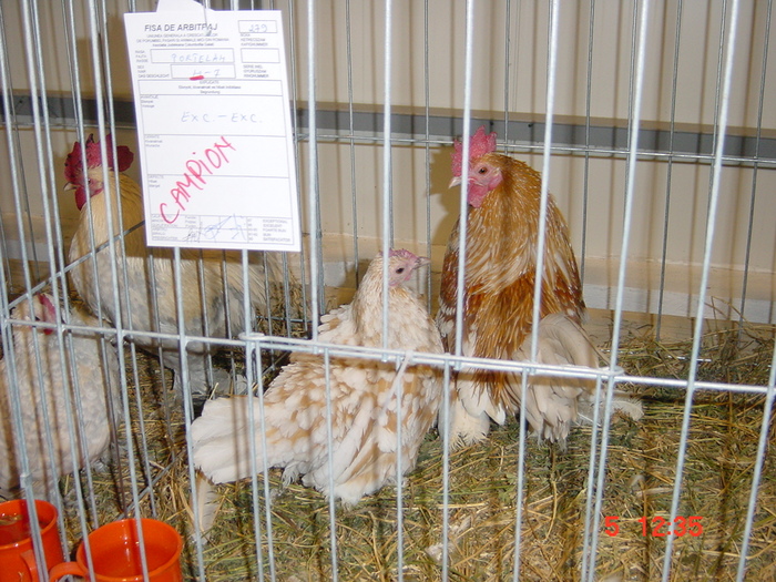 DSC01548