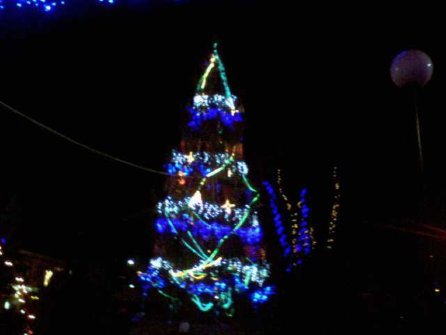 Photo0016