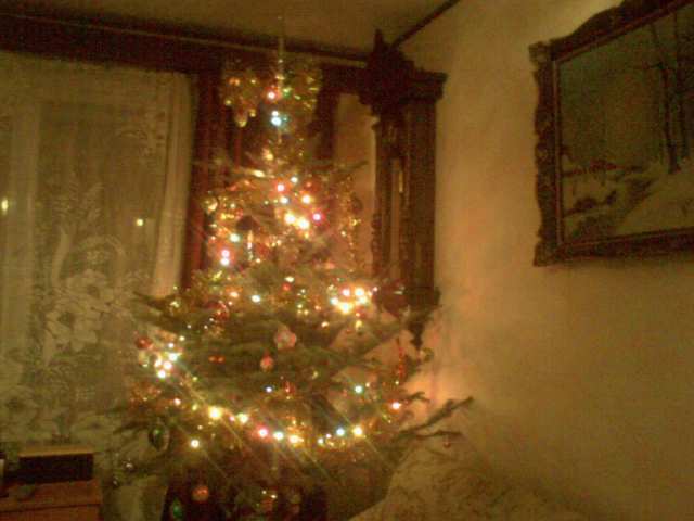 Brad 2007 - album pestritz