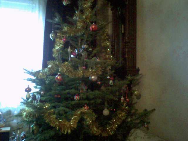 bradut 2008 - album pestritz