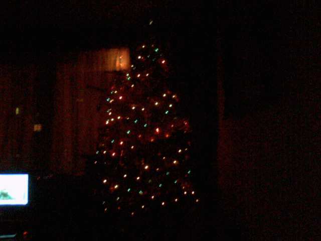 bradut2009 - album pestritz