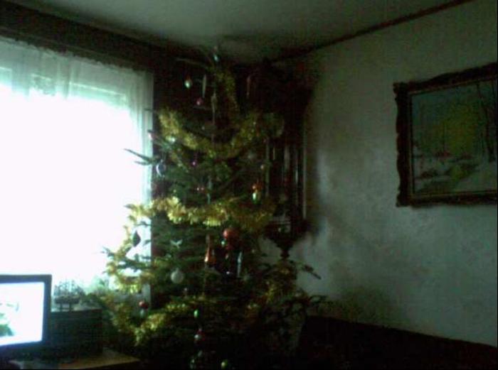 2009 - album pestritz