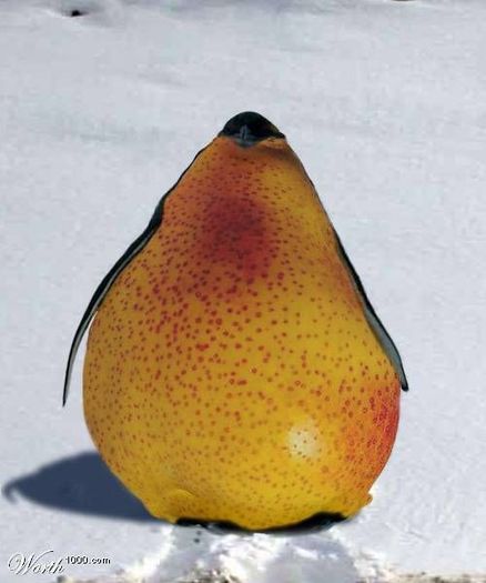 pinguinul_para[1] - ce fruc vrei sa mananci