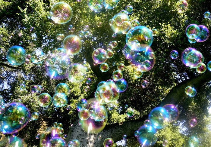 Soap_bubbles-jurvetson - O_o bubbles O_o