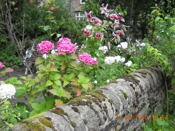 ANGLIA  AUGUST 2010 217 - MANCHESTER