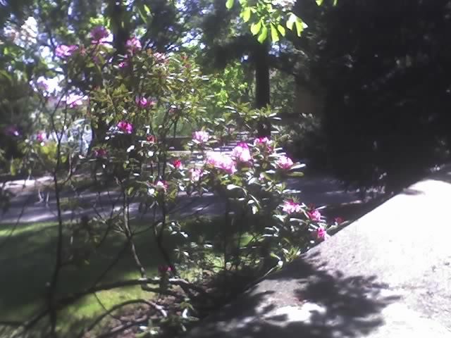 02-05-09_1317; Praga
