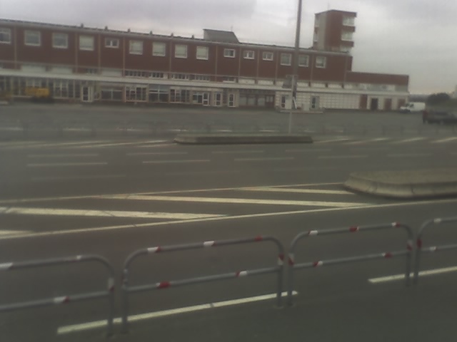 In drum spre Londra - flori si diverse