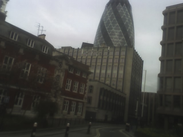 Londra - flori si diverse