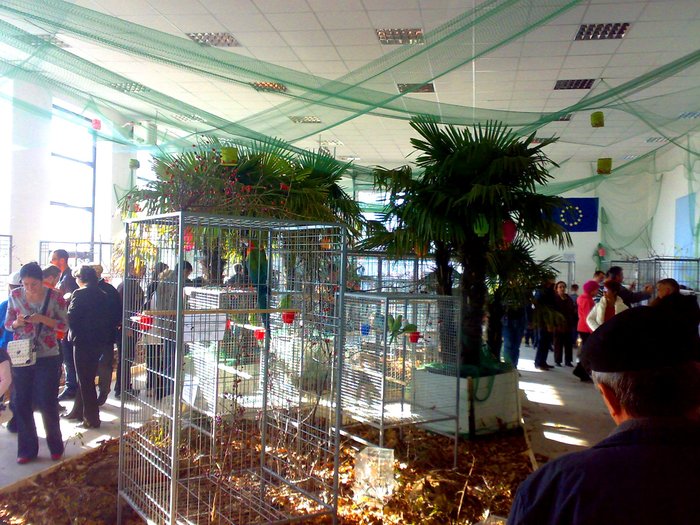 Pavilion Pasari exotice