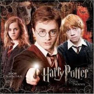 13.harry potter - filme care merita vazute