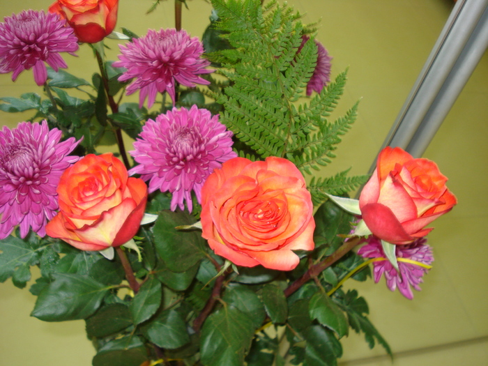 TRANDAFIRI DIN PARTEA FRATELUI MEU