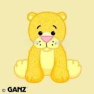 18189180_PZIDGQTPD - webkinz poze