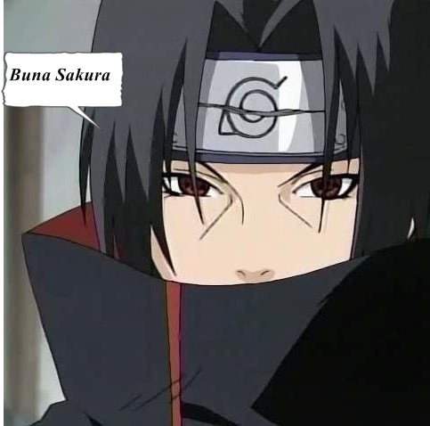  - O alta poveste SasuSaku2