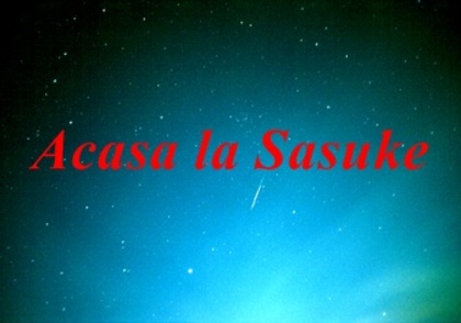  - O alta poveste SasuSaku1