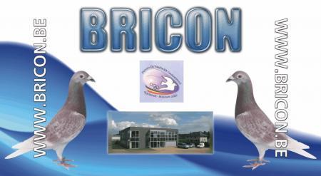 bricon_olymp[1]