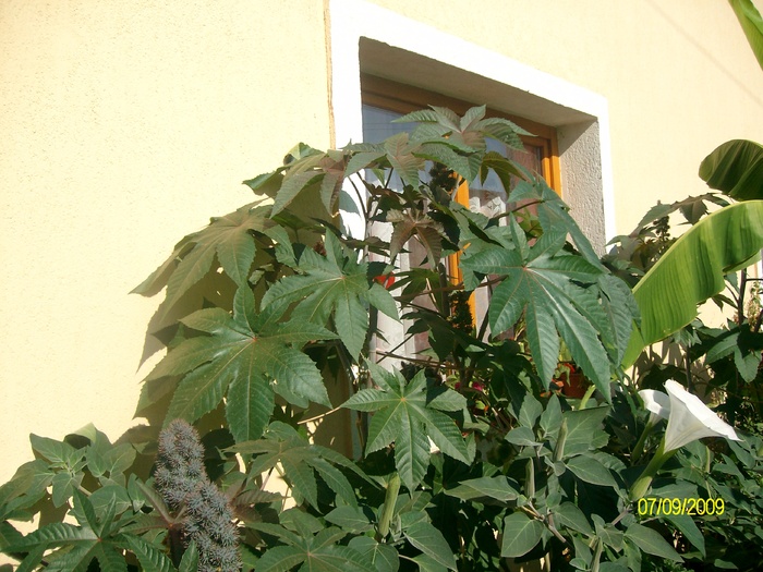 SANY5987