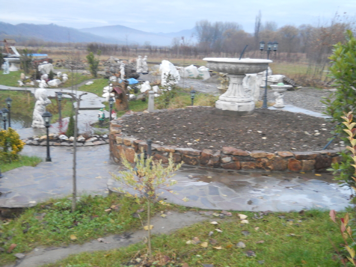 DSCN1334