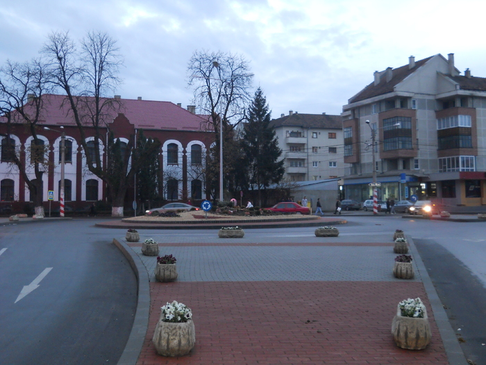 DSCN1349