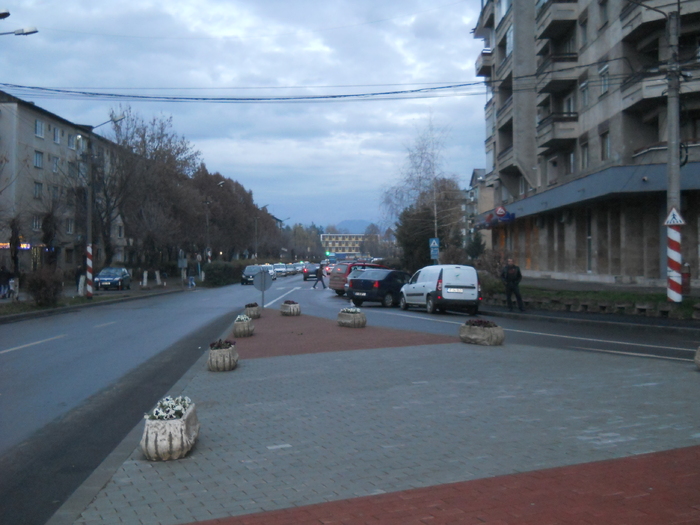 DSCN1353