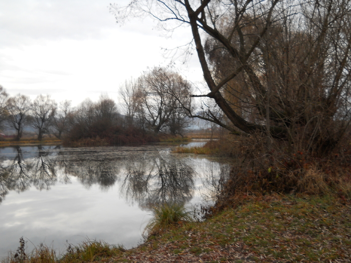 DSCN1299 - Lacul Teplita